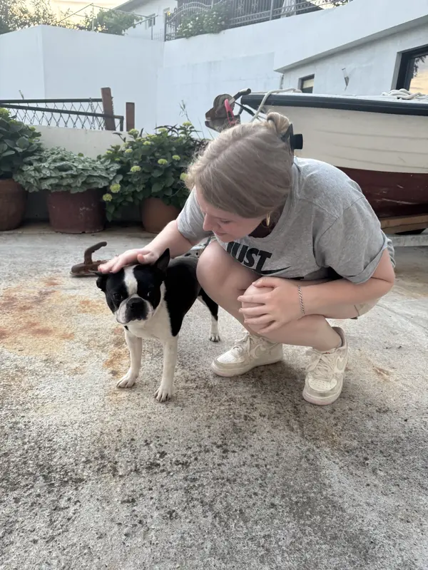 My wife with a French bulldog in Montenegro. Yes, you can pet other people’s dogs here without asking